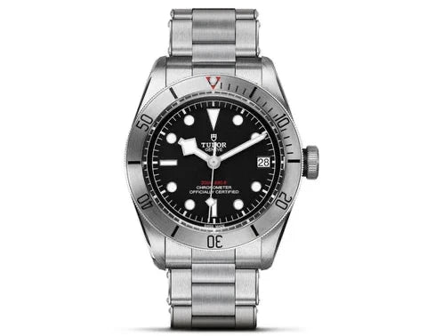 Tudor Black bay steel