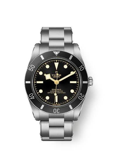 Tudor black bay 54