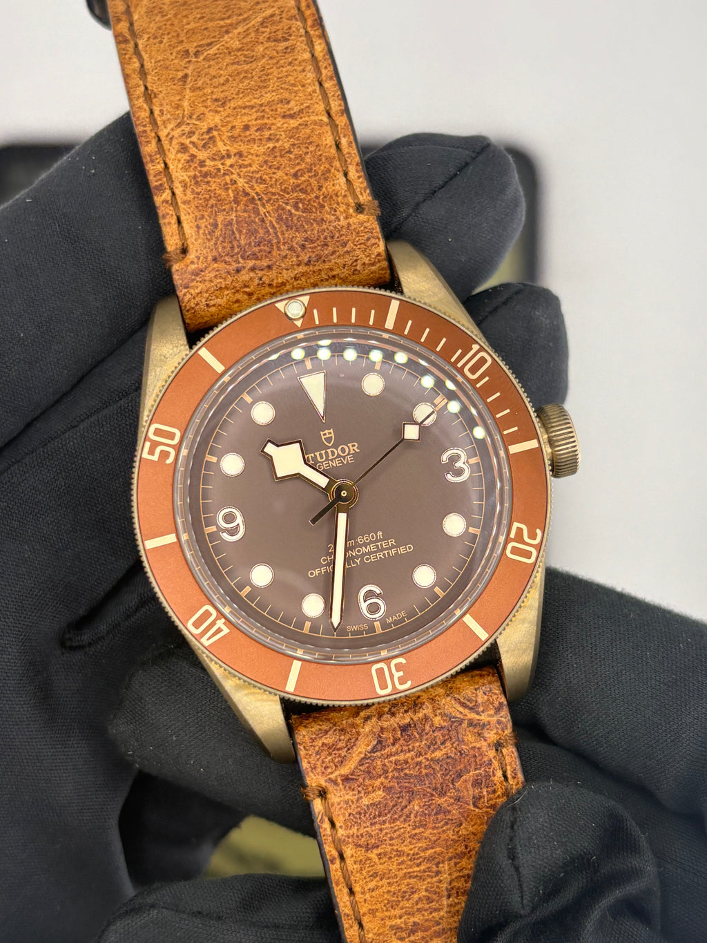 Tudor bronzie