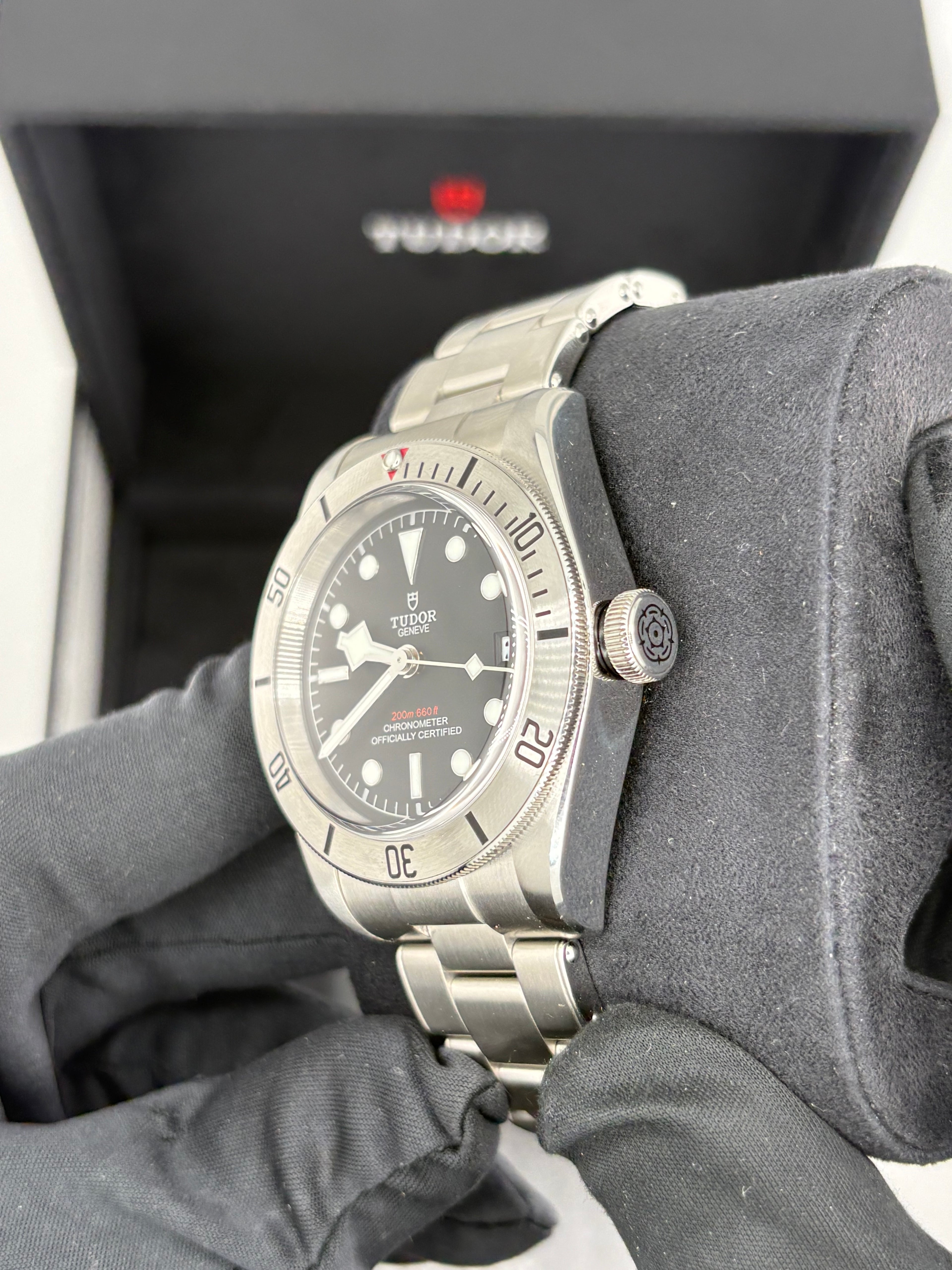 Tudor Black bay steel