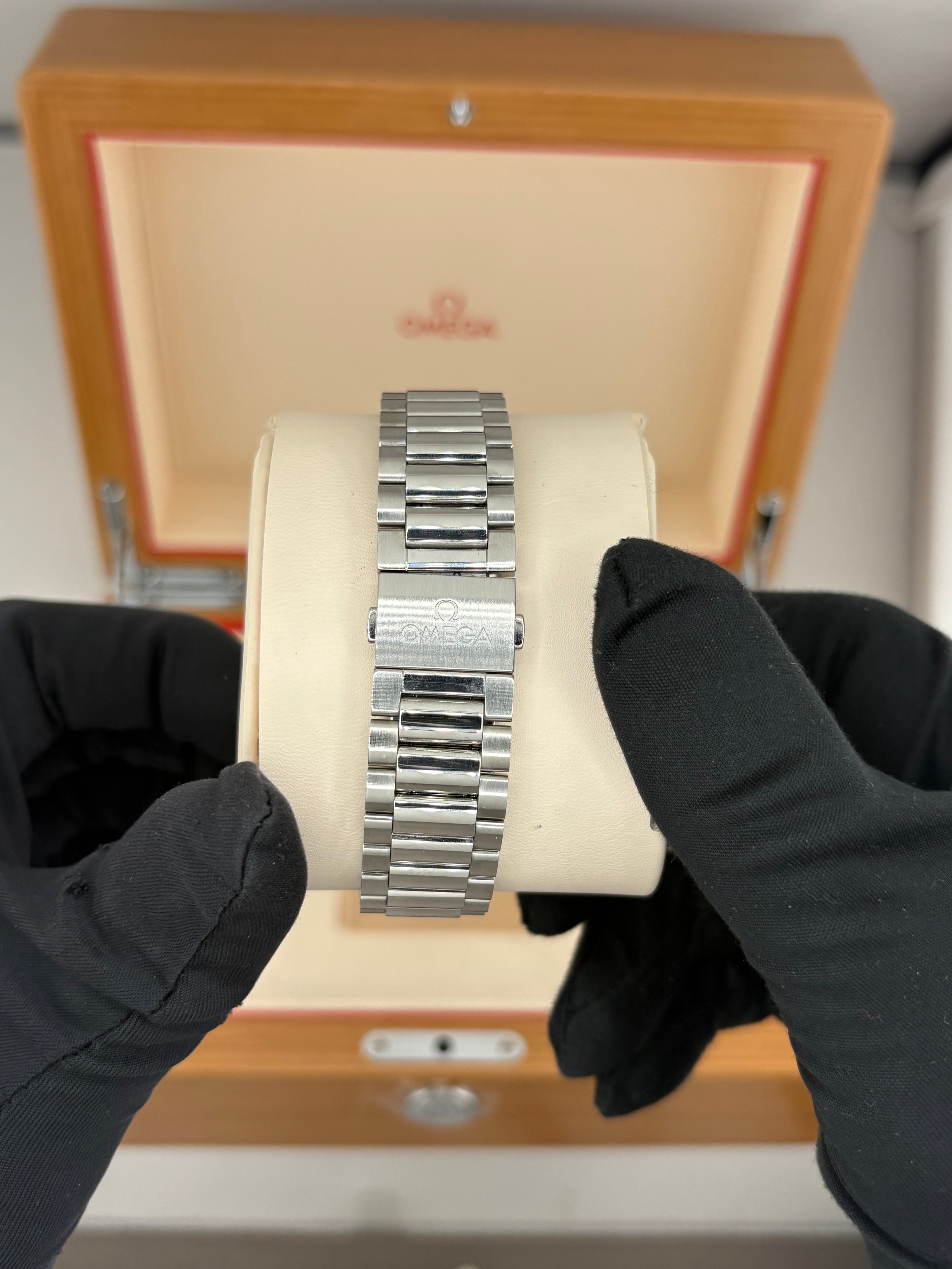 Omega railmaster