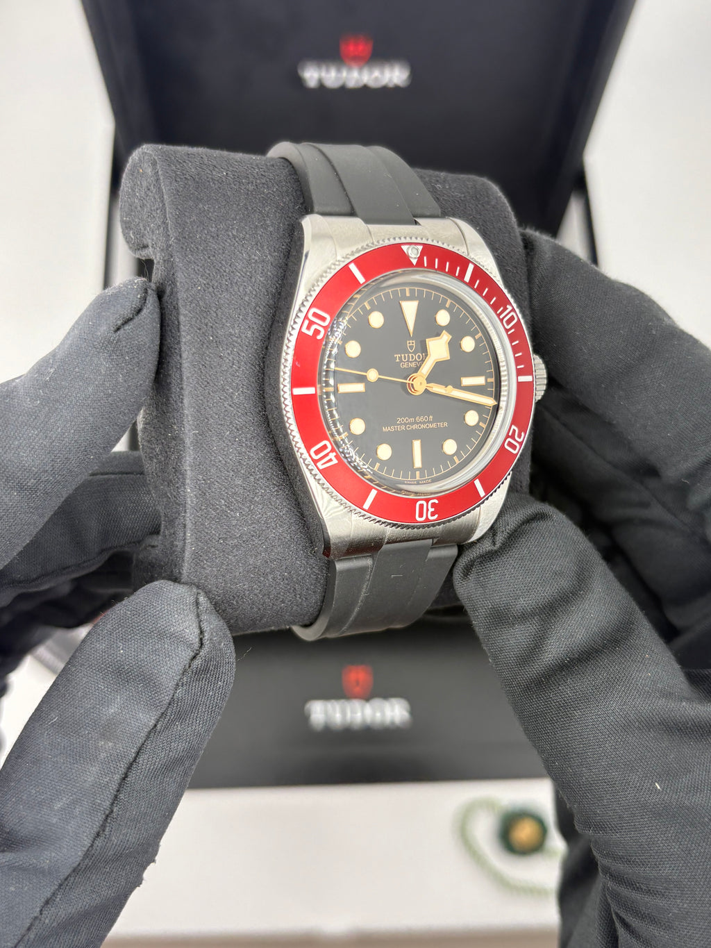Tudor black bay