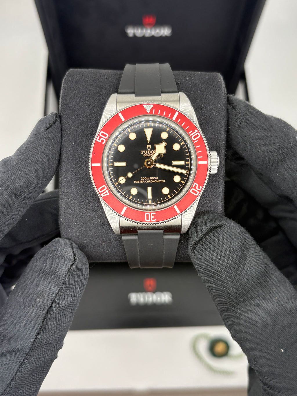Tudor black bay