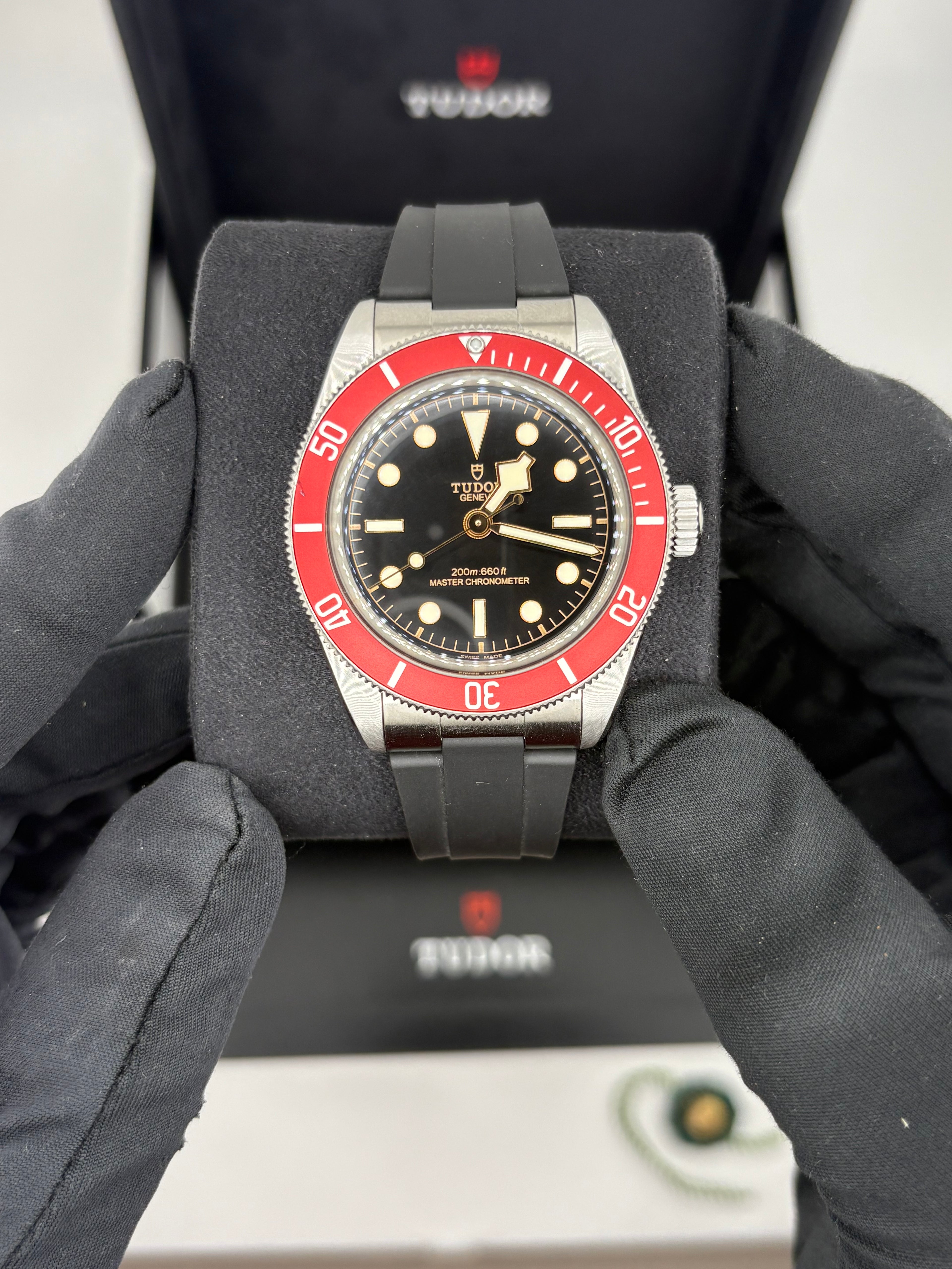 Tudor black bay