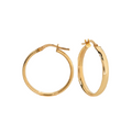 9kt Gold 20mm Hoop Earrings