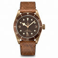 Tudor bronzie