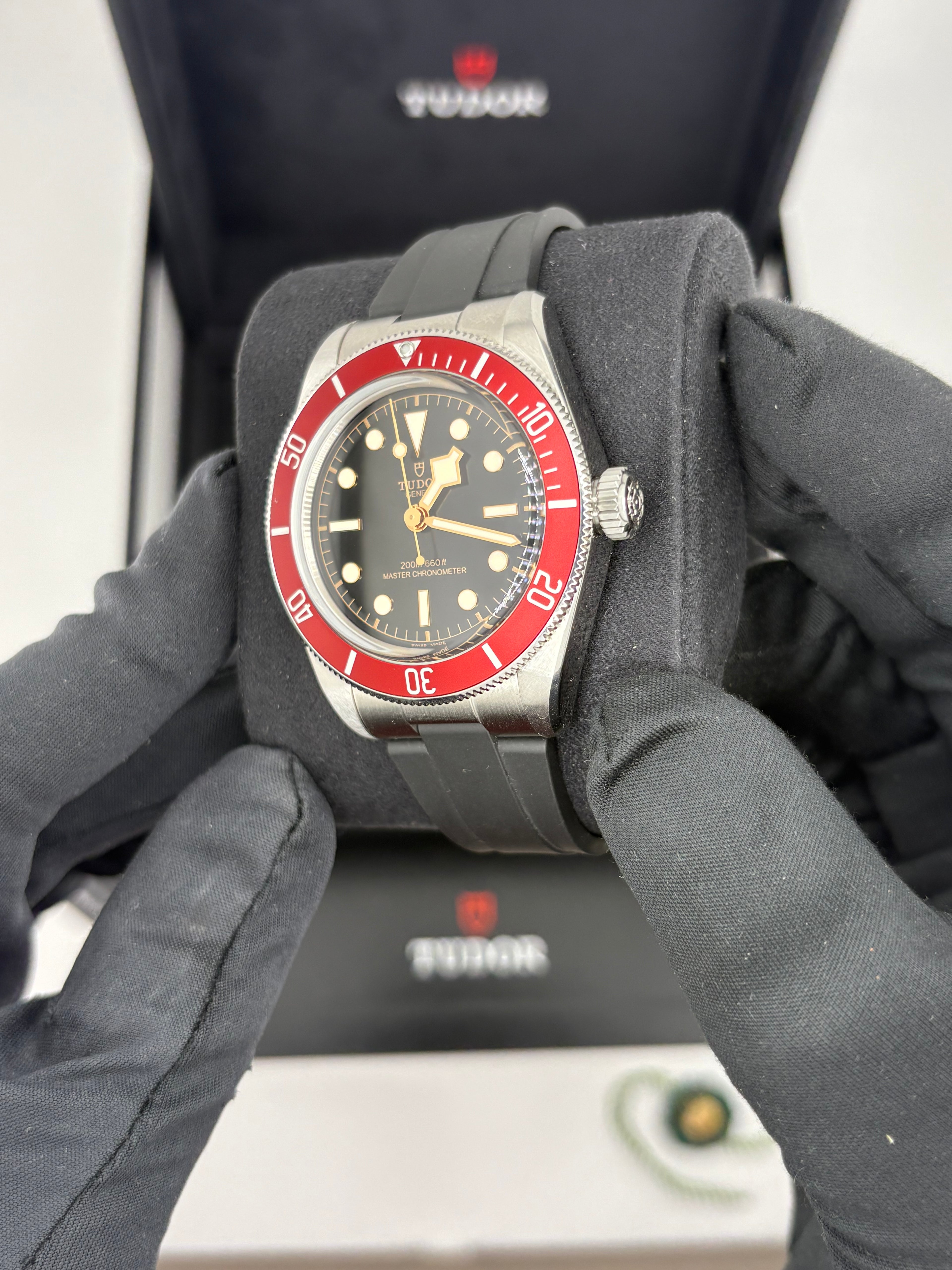 Tudor black bay