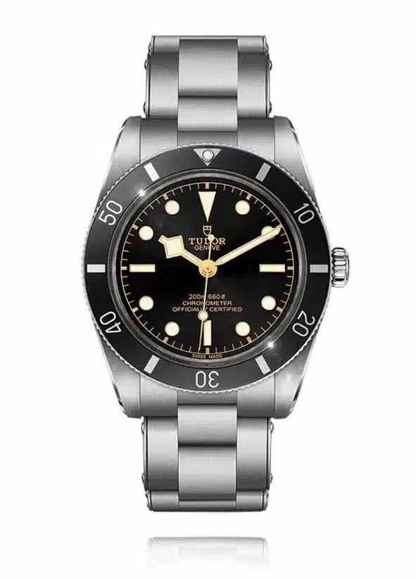 Tudor Black bay 58